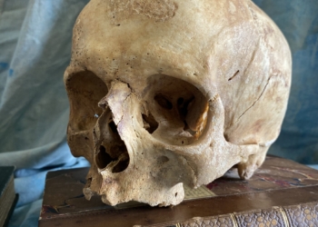 An antique 19th century human male skull