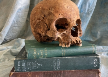 An antique early 19th century human female skull